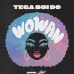 Tega boi dc Woman artwork