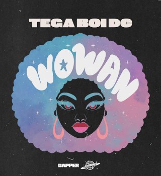 Tega boi dc Woman artwork