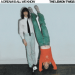 The-Lemon-Twigs-A-Dream-Is-All-We-Know-Album